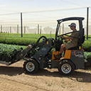 D254SW TELE - Plantenkwekerijen