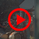 BOSBOUW - COMPILATIE_2